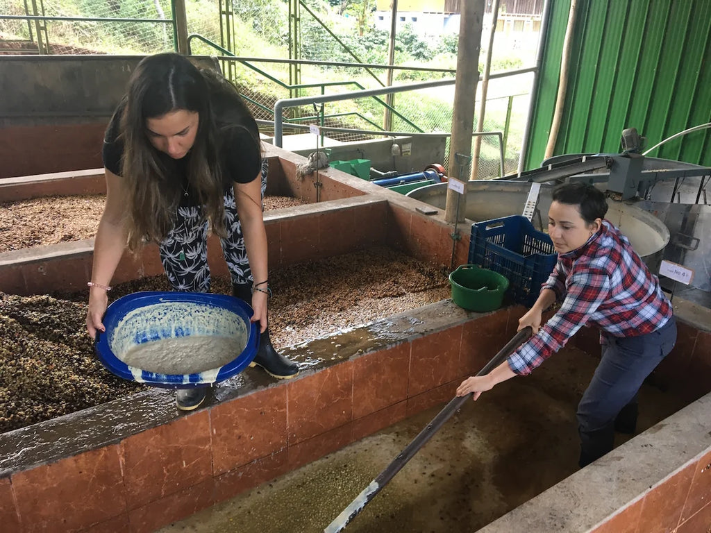The Fermentation Project