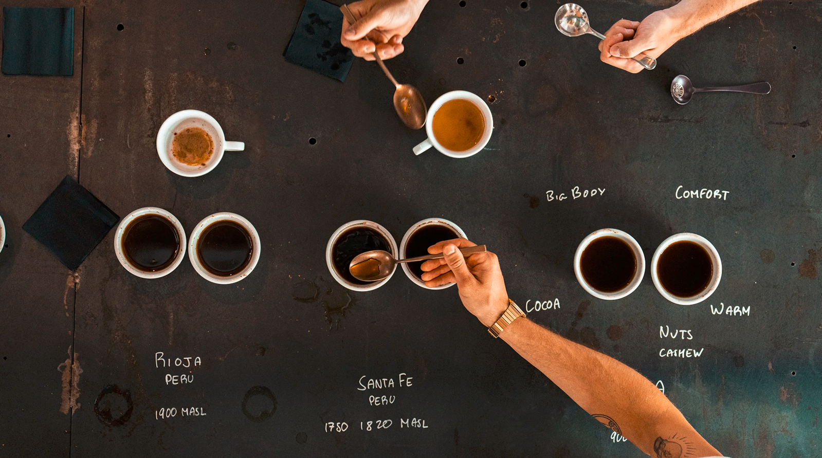 Sprout Coffee Gift Card