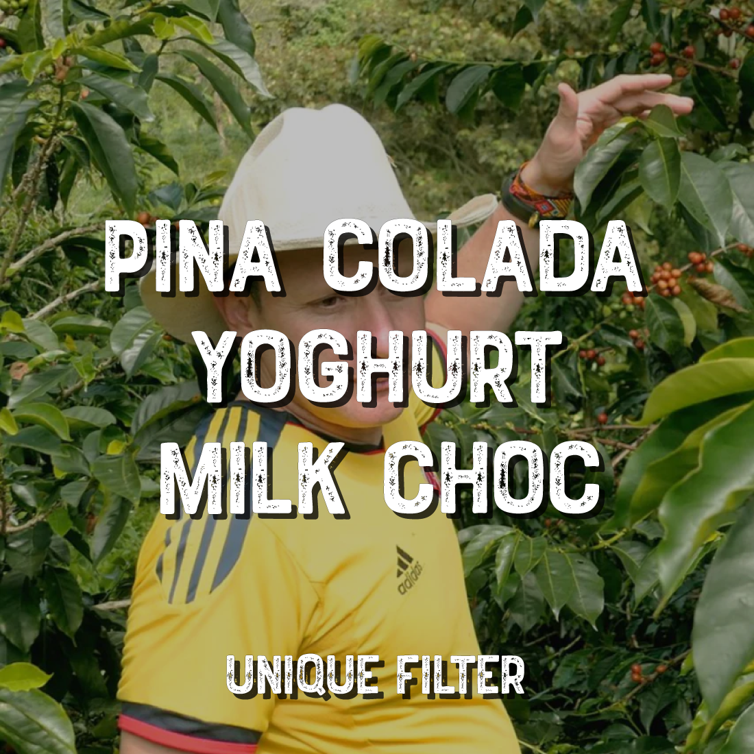 Coco Choco