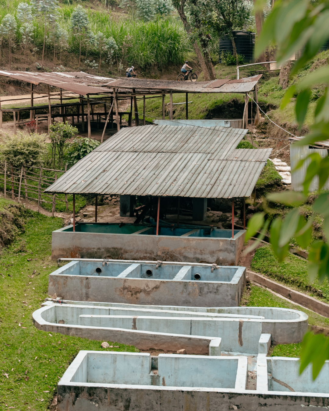 Ride & Roast - Cupping + Information Evening