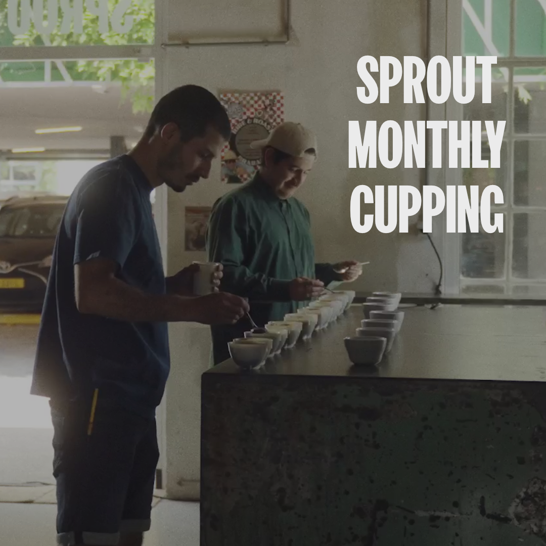 Sprout Monthly Cupping #6
