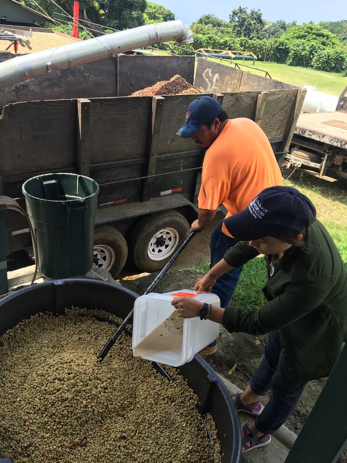 The Fermentation Project